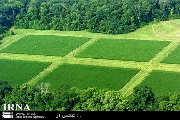 اجرای طرح تغییر الگوی کشت روی میز