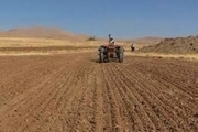 10 هزار و 560 هکتار از اراضی زراعی پلدشت زیرکشت گندم رفت