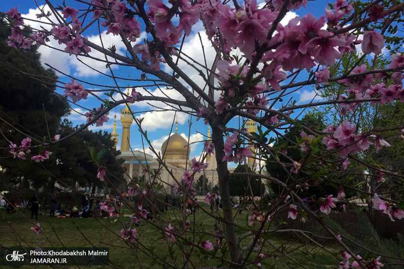 روز طبیعت در حرم مطهر حضرت امام خمینی(س) -1