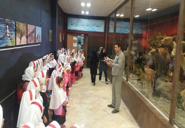 400 کودک از موزه تنوع زیستی محمدیه قزوین بازدید کردند