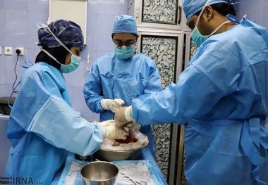 جوان مرگ مغزی اهل بجنورد جان هفت بیمار را نجات داد
