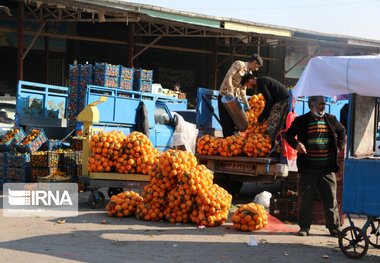 نظارت‌ بر میادین میوه تهران از ابتدای اسفند تشدید می‌شود