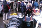 قدیمی ترین بازار ماهی ایران در انزلی، جاذبه گردشگری گیلان