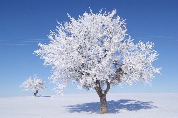 تکاب با دمای 10 درجه زیر صفر سردترین شهر آذربایجان غربی بود