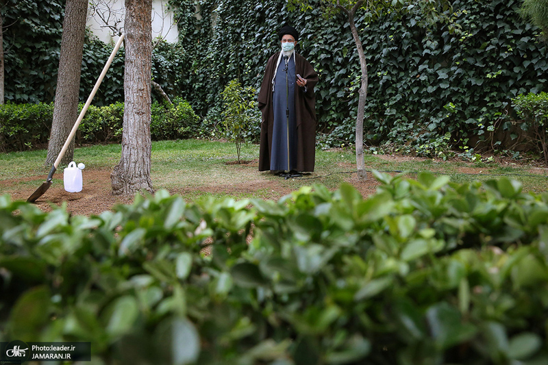 کاشت دو نهال میوه در روز درختکاری توسط رهبر معظم انقلاب