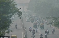 مه دود غلیظ پایتخت هند را فرا گرفت (8)