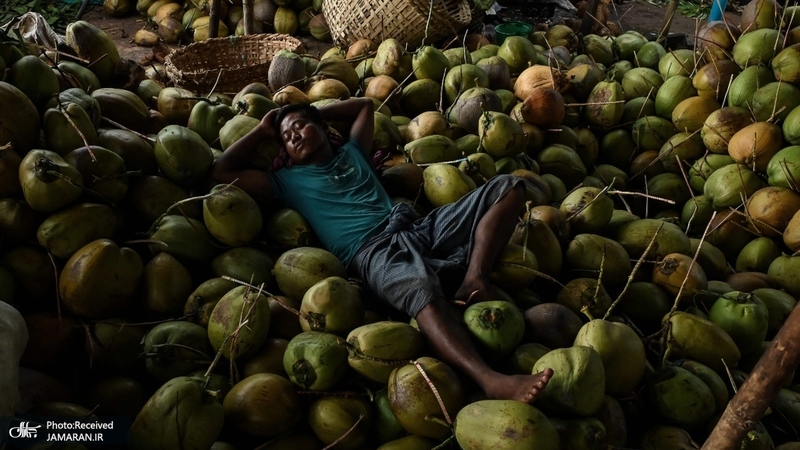 منتخب تصاویر امروز جهان - 23 شهریور 1401