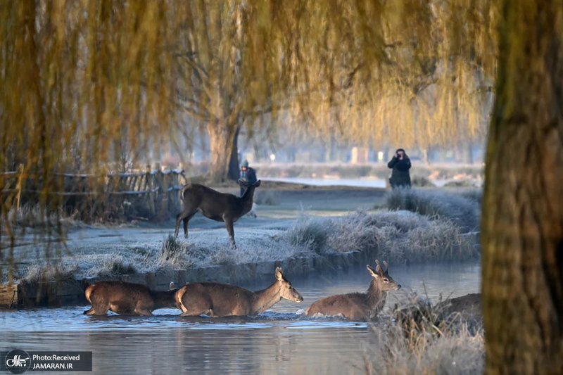 منتخب تصاویر امروز جهان - 15 اسفند 1403
