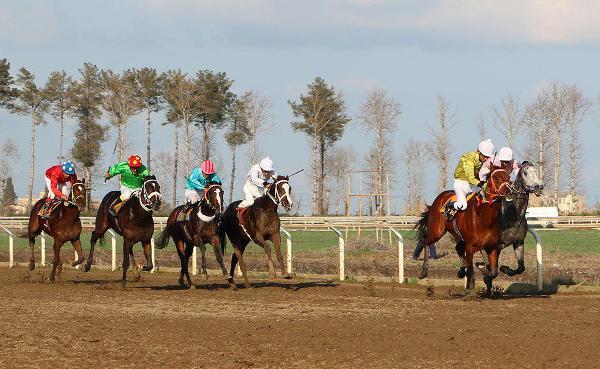 هفته 26 مسابقات اسبدوانی گنبدکاووس برگزار شد