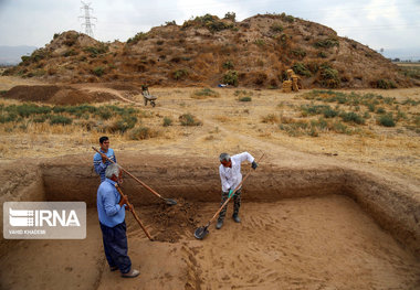 دستور دادستان مانه‌وسملقان به قطع درختان شهر هخامنشی