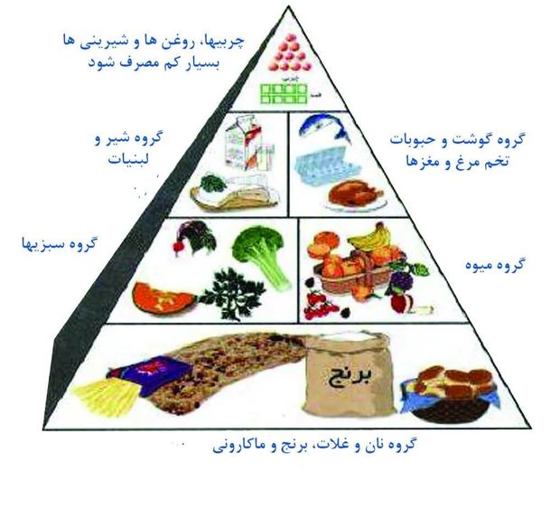 بسیج تغذیه سالم در استان مرکزی کلید خورد