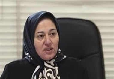 کارآفرین ملی در سمینار ماهانه کانون کارآفرینان استان زنجان سخنرانی می کند