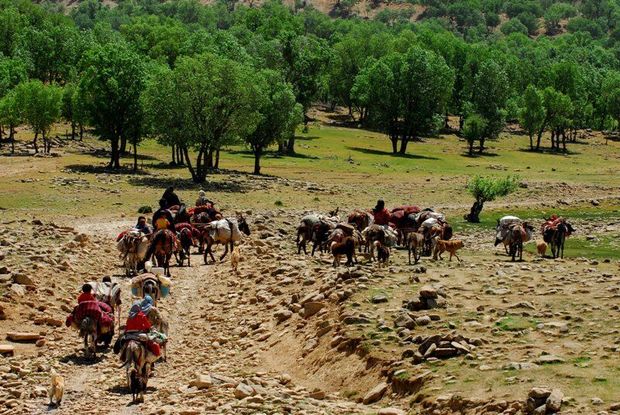 عشایر تا پیش از تقویم کوچ در ایلراه چهارمحال و بختیاری تردد نکنند