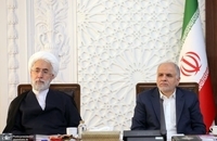 نشست هیئت پیگیری اجرای قانون اساسی (5)