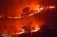 آتش سوزی کالیفرنیا