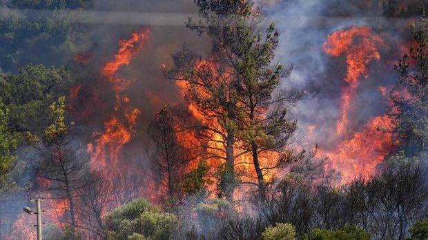 آتش‌سوزی در غرب ترکیه ادامه دارد + فیلم