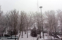 بارش برف در برخی نقاط تهران + عکس