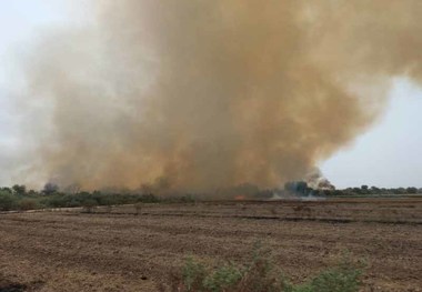 آتش سوزی در بیشه روستای مهدی آباد شوشتر مهار شد