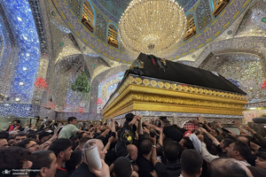 هم قدم با زائران اباعبدالله الحسین (ع)؛ حرم امیر المومنین (ع)