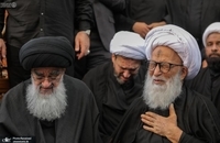 مراسم عزاداری شهادت حضرت فاطمه (س) در حرم امام علی(ع) (4)