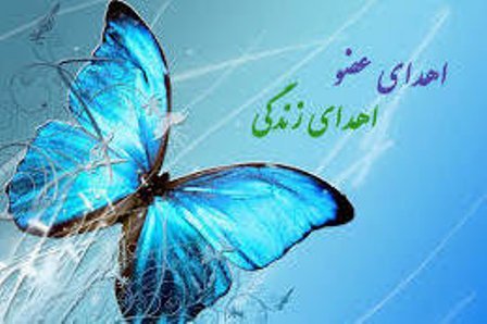 اعضای بانوی فسایی به بیماران نیازمند پیوند عضو اهدا شد