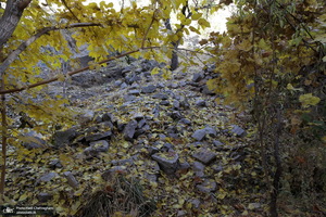 طبیعت پاییزی روستای اَوِل قم