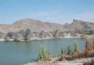 گاندو زیستگاه مناسب 291 گونه جانوری و 150 گونه گیاهی