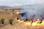آتش سوزی در تپه‌های شمال شرق تهران مهار شد