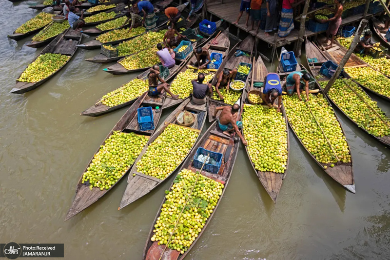 منتخب تصاویر امروز جهان - 26 مرداد 1401