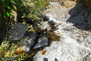 طبیعت پاییزی دارآباد تهران