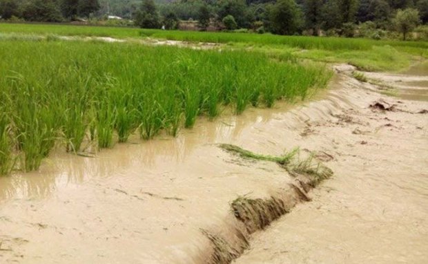 سیل 6 هزار میلیارد ریال به کشاورزان مازندران خسارت زد