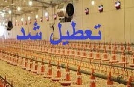 جلوگیری از فعالیت مرغداری غیرمجاز در تاکستان