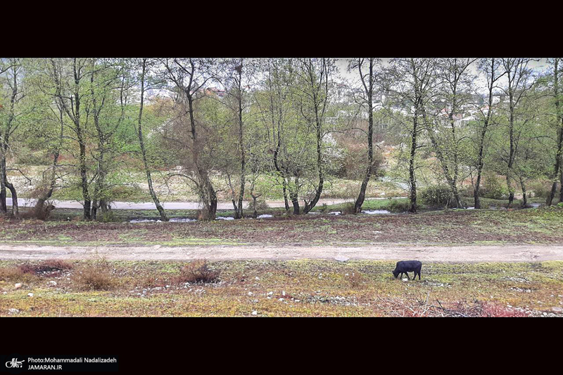 دریاچه آویدر نوشهر