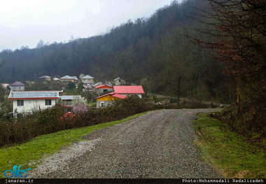 طبیعت زیبا و بکر روستای«امام زمین» تنکابن 