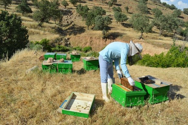 ۱۱۰ طرح اشتغال‌زا در روستاهای مراغه با حمایت بنیاد برکت اجرا می‌شود