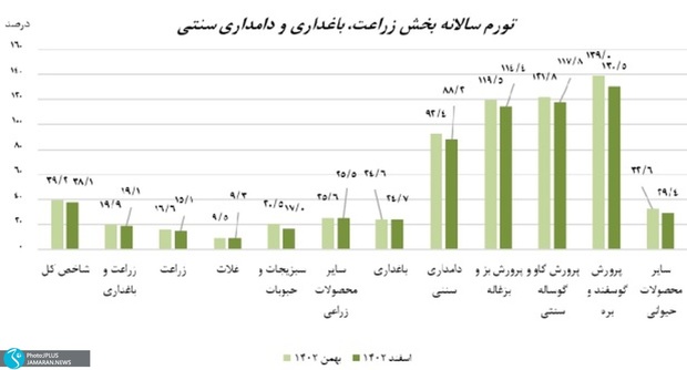 تولید گوشت گوسفند در اسفند 131 درصد گران تر شد / بازار به واردات وابسته تر می شود