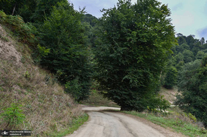 ییلاقات رودبار