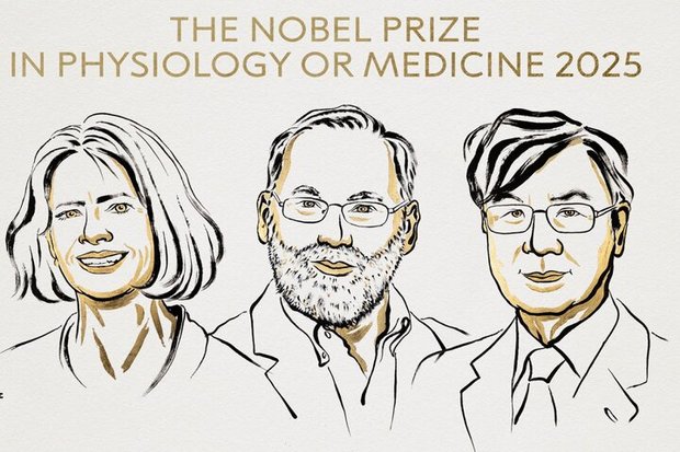 برندگان جایزه نوبل پزشکی ۲۰۲۵ معرفی شدند
