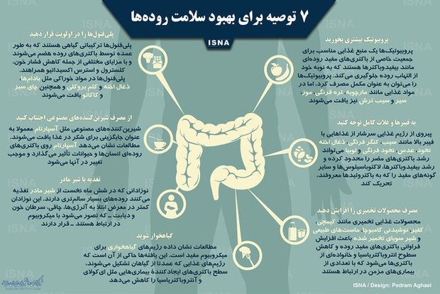 اینفوگرافی   راه‌هایی برای بهبود سلامت روده‌ها