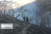 پیش‌روی آتش در پارک ملی گلستان مهار شد
