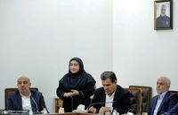 جلسه کمیته هماهنگی و نظارت بر اجرای قانون حمایت از حقوق افراد دارای معلولیت (8)