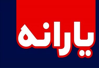 احتمال سه برابر شدن یارانه 60 میلیون نفر وجود دارد/ کارت اعتباری به پنج دهک اول داده می شود