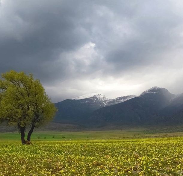 رخ‌نمایی پاییز با کاهش 10 درجه‌ای دما و بارش برف و باران در سمنان