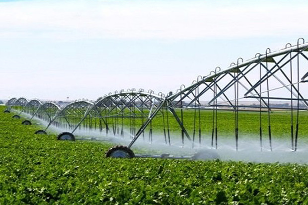 قزوین رتبه 6 کشوری در اجرای سامانه آبیاری نوین را کسب کرد