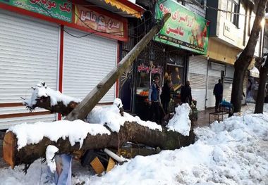 برق در اغلب نقاط رضوانشهر همچنان قطع می باشد