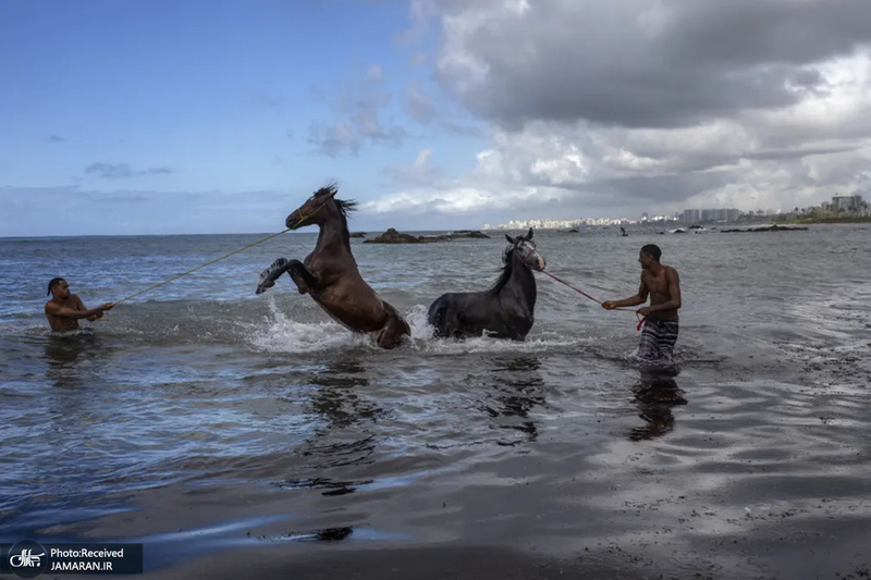 منتخب تصاویر امروز جهان - 26 شهریور 1401