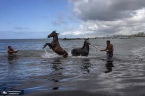 منتخب تصاویر امروز جهان - 26 شهریور 1401