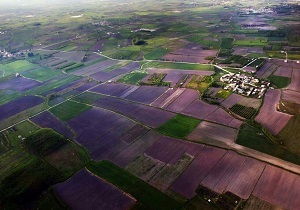 اجرای 12 هزار هکتار سیستم آبیاری نوین دراراضی کشاورزی حوضه آبریز دریاچه ارومیه