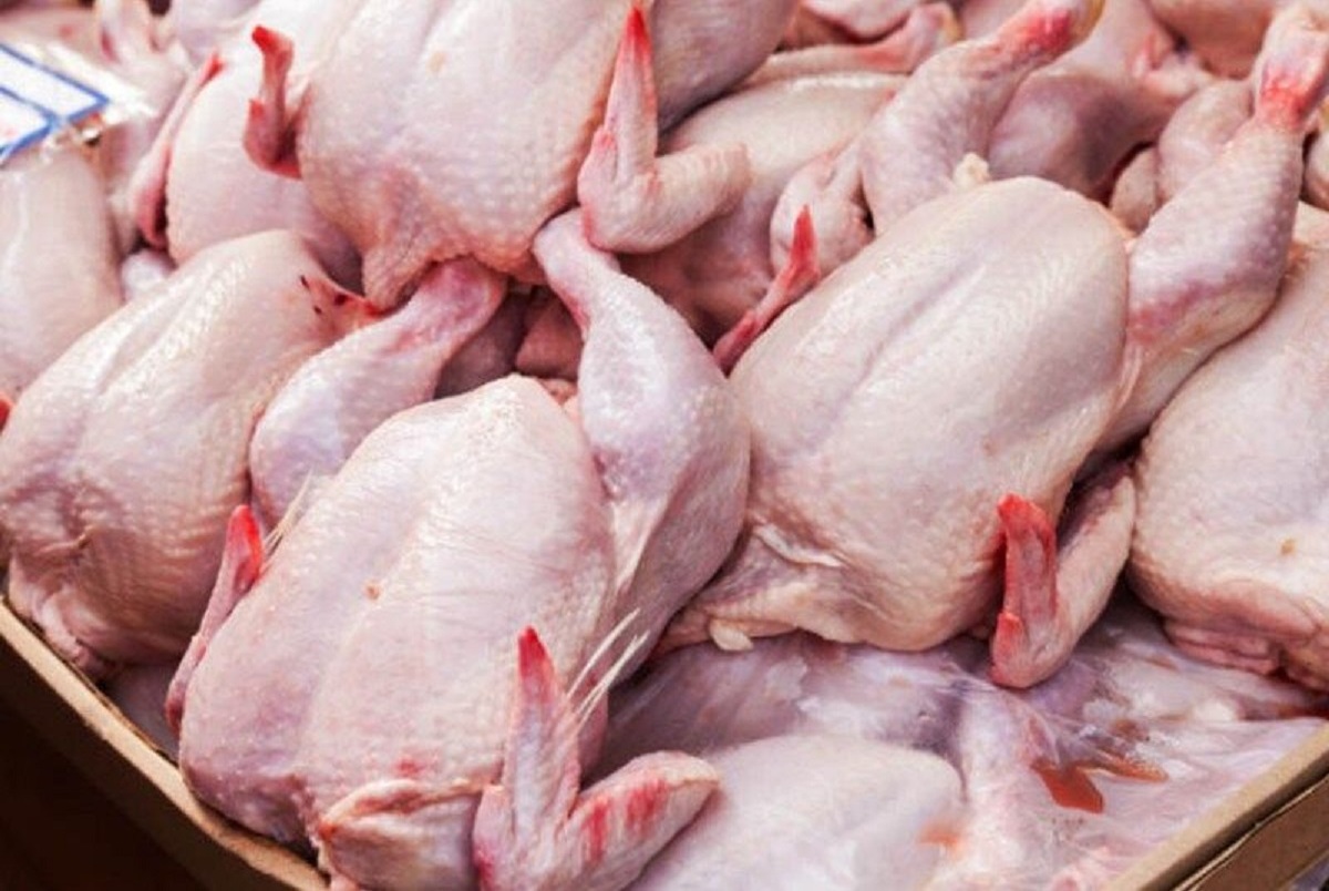 مرغ باید به قیمت قبلی فروخته شود - تذکر به مرغداران در خصوص قیمت مرغ