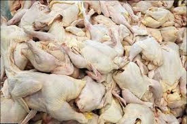 ۷۰۰ تن مرغ مازاد سایر استان ها به بازار تهران تزریق می شود